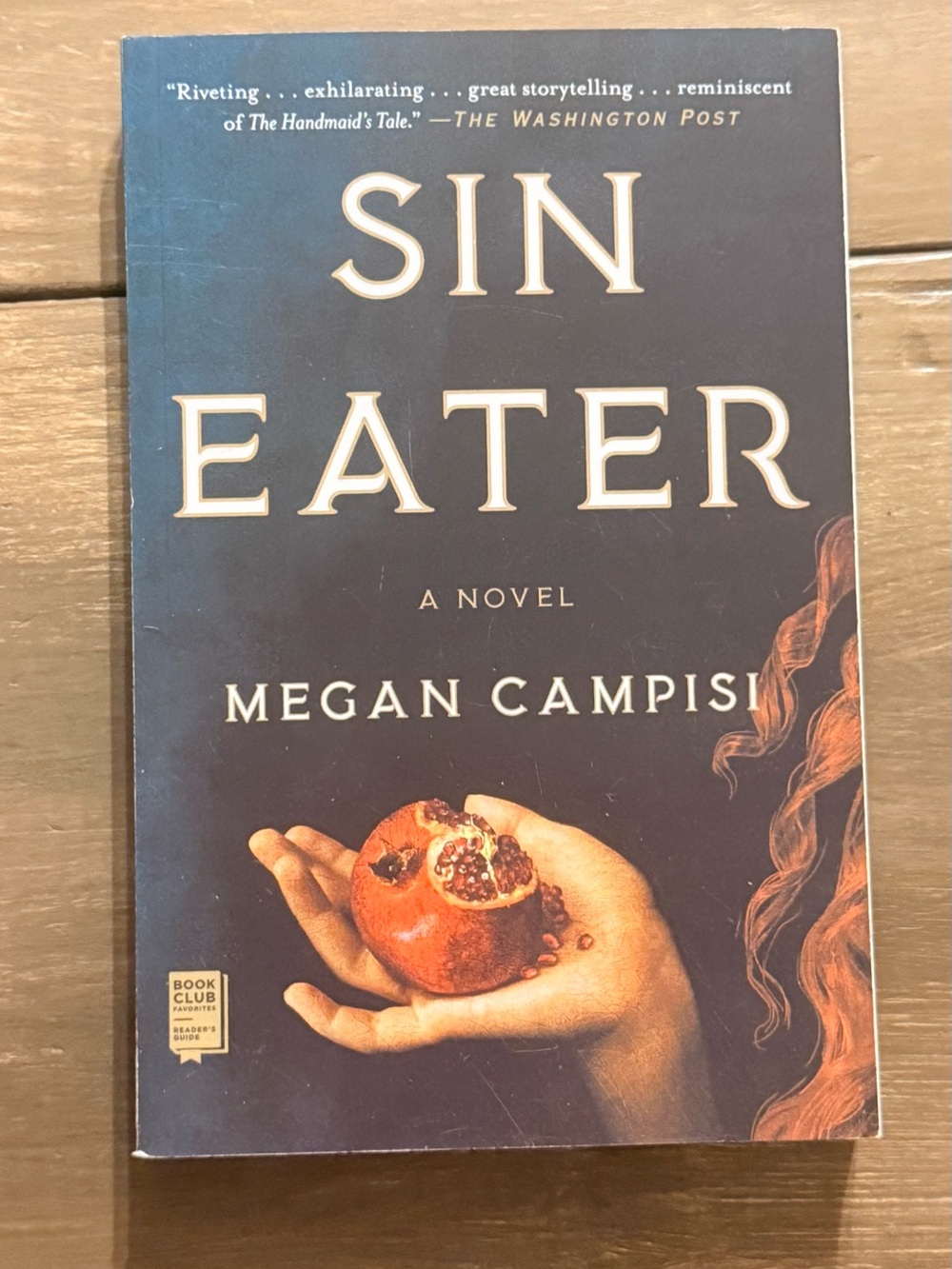 Sin Eater Megan Campisi Paperback Novel 2021 Historical Fiction Dystopian